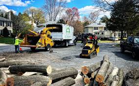 Best Utility Line Clearance  in Kirkwood, MO