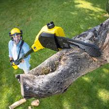 Best Landscape Design and Installation  in Kirkwood, MO